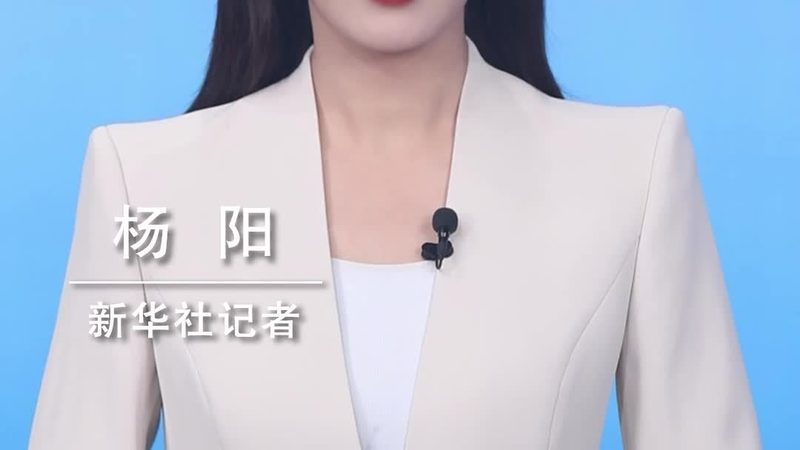 微服务接口规范：构建高效IT架构的关键**